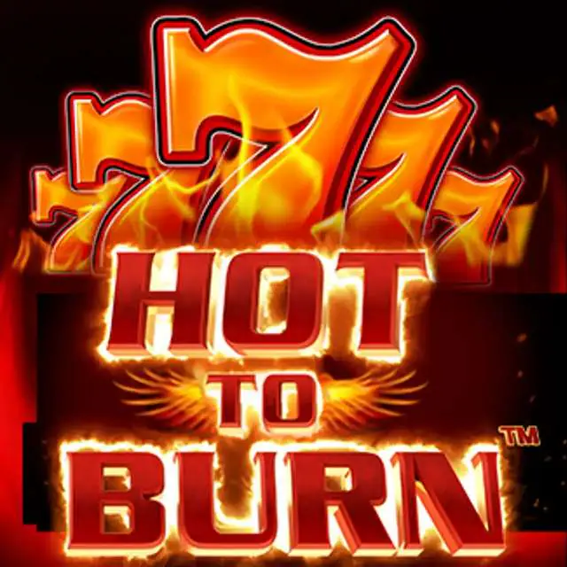 Hot to burn Review