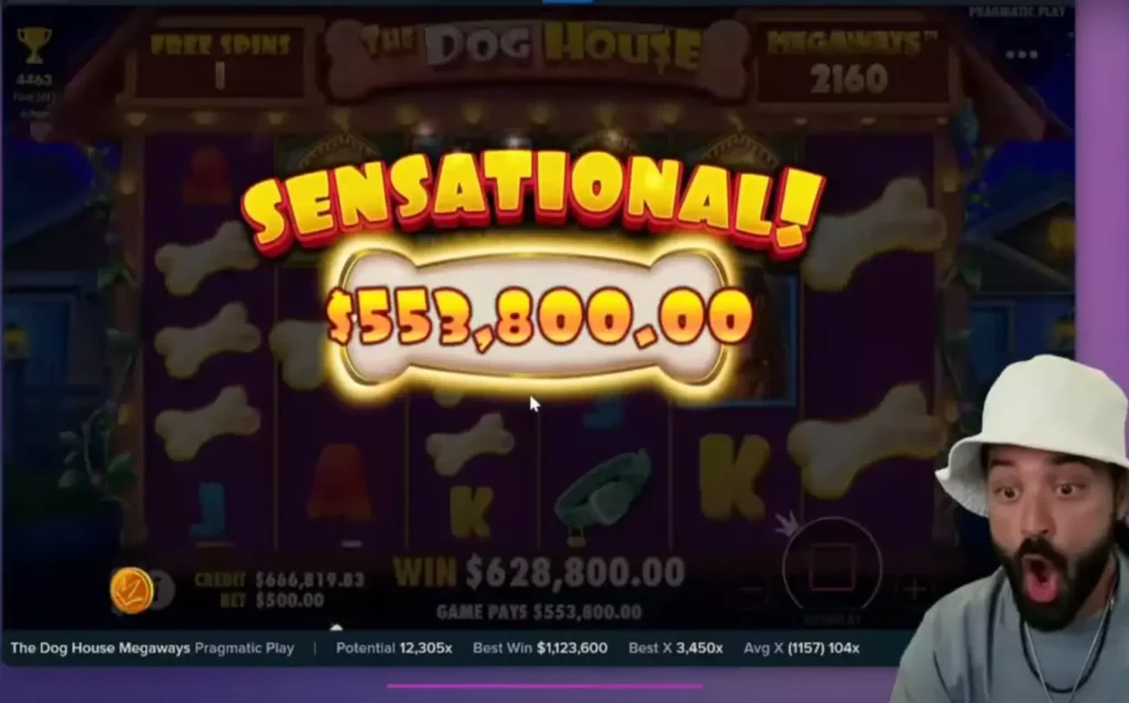 The Dog House Slot Big Win Bonus