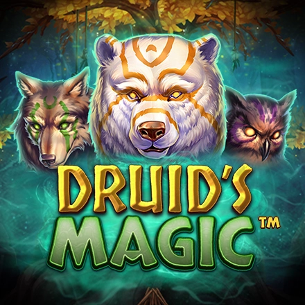 Druid's Magic Slot